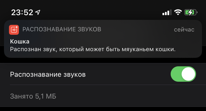 Распознавание звуков приложение. Распознавание звука распознавание. Функция распознавания звуков айфон. Распознавание звуков айфон для чего. Распознавание звуков обновление.