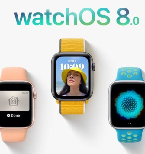 watchOS 8.0