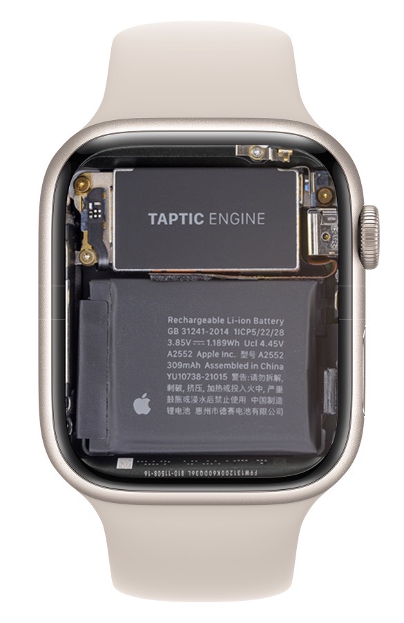 Внутренности Apple Watch Series 7 на Apple Watch